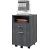 Vinsetto 2 Drawer Filing Cabinet with Lock, Vertical File Cabinet with Wheels, Mobile Office Cabinet for A4, Letter Size, Grey