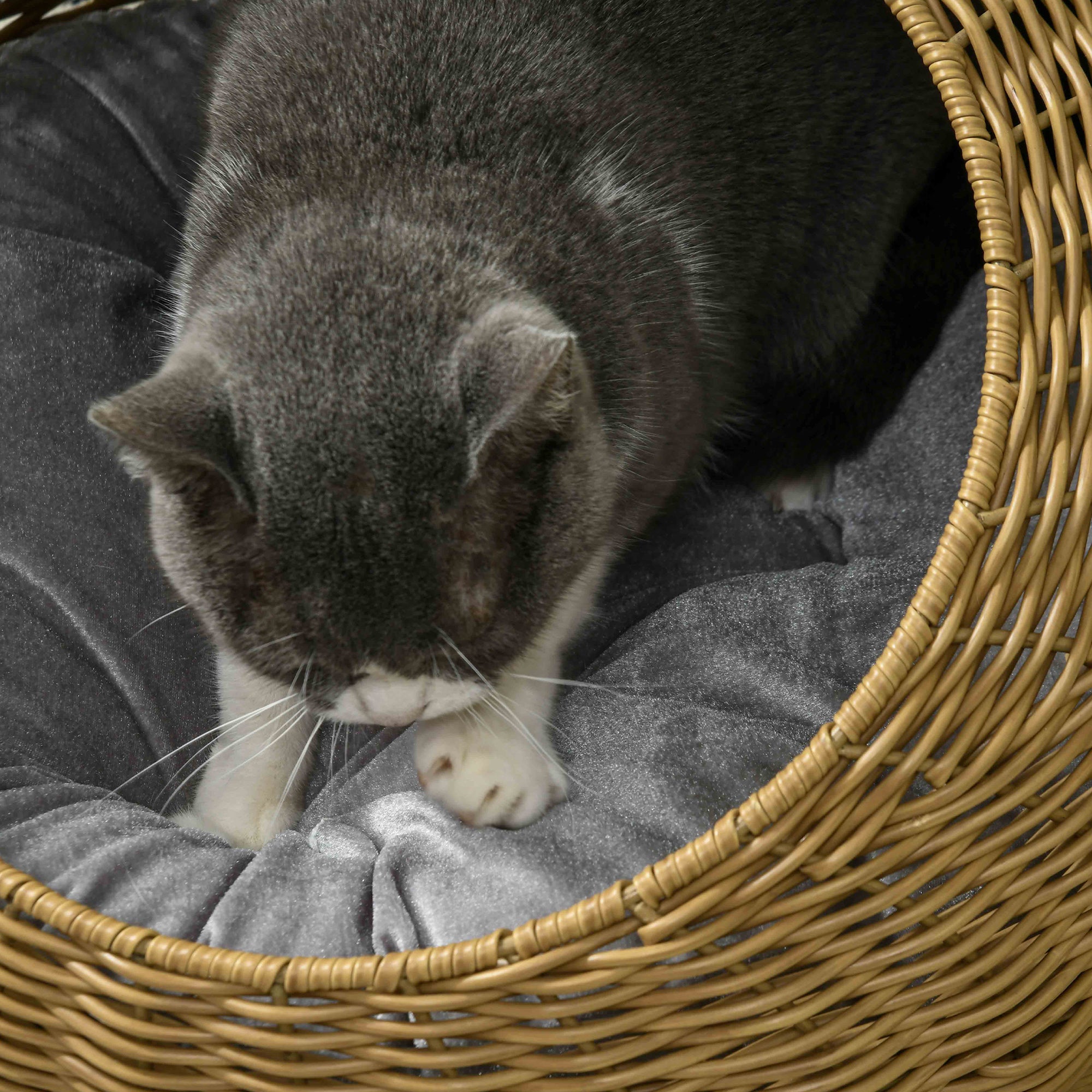 PawHut Wicker Cat House, Rattan Cat Bed Kitten Basket with Washable Cushion for Indoor Cats and Puppies, Light Brown