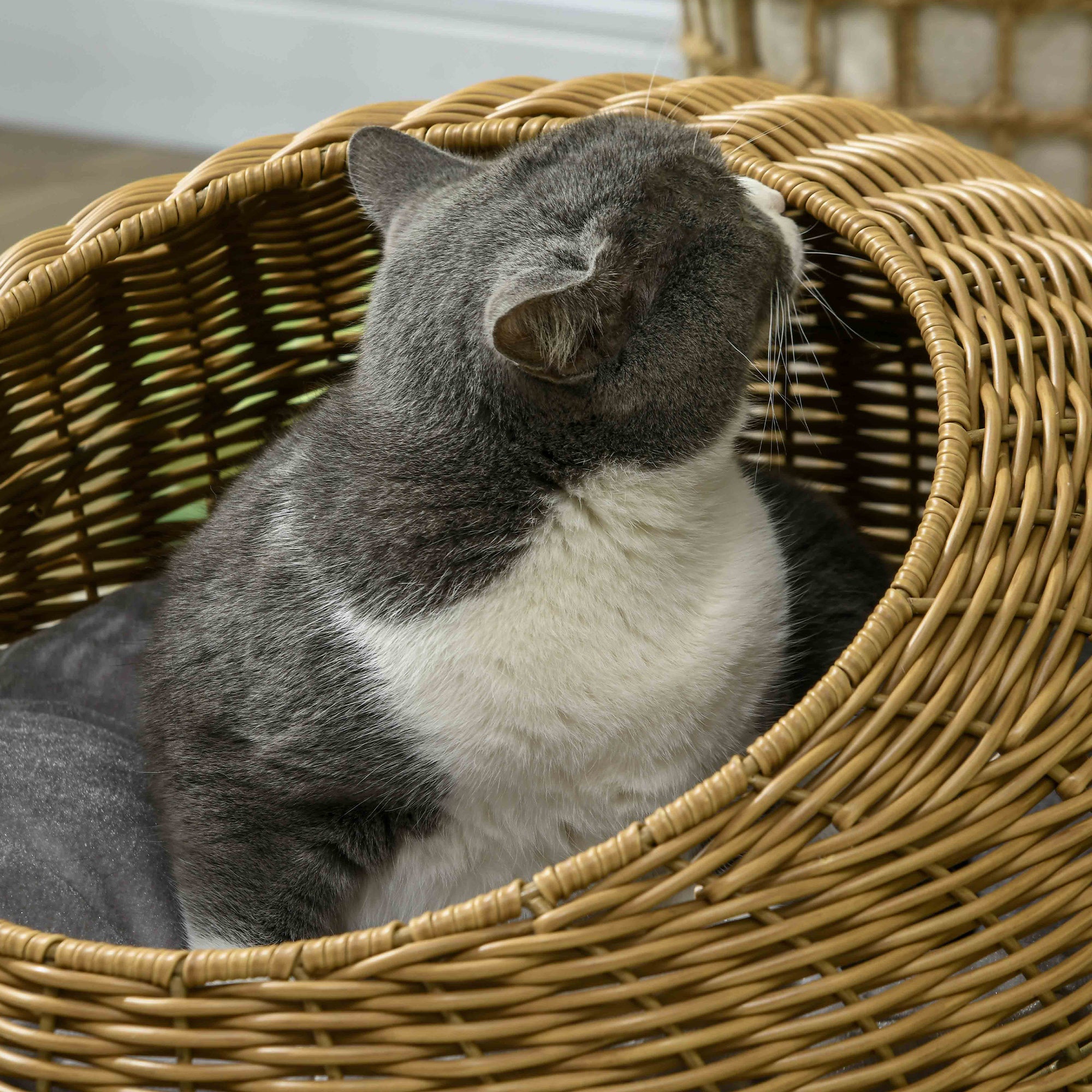 PawHut Wicker Cat House, Rattan Cat Bed Kitten Basket with Washable Cushion for Indoor Cats and Puppies, Light Brown