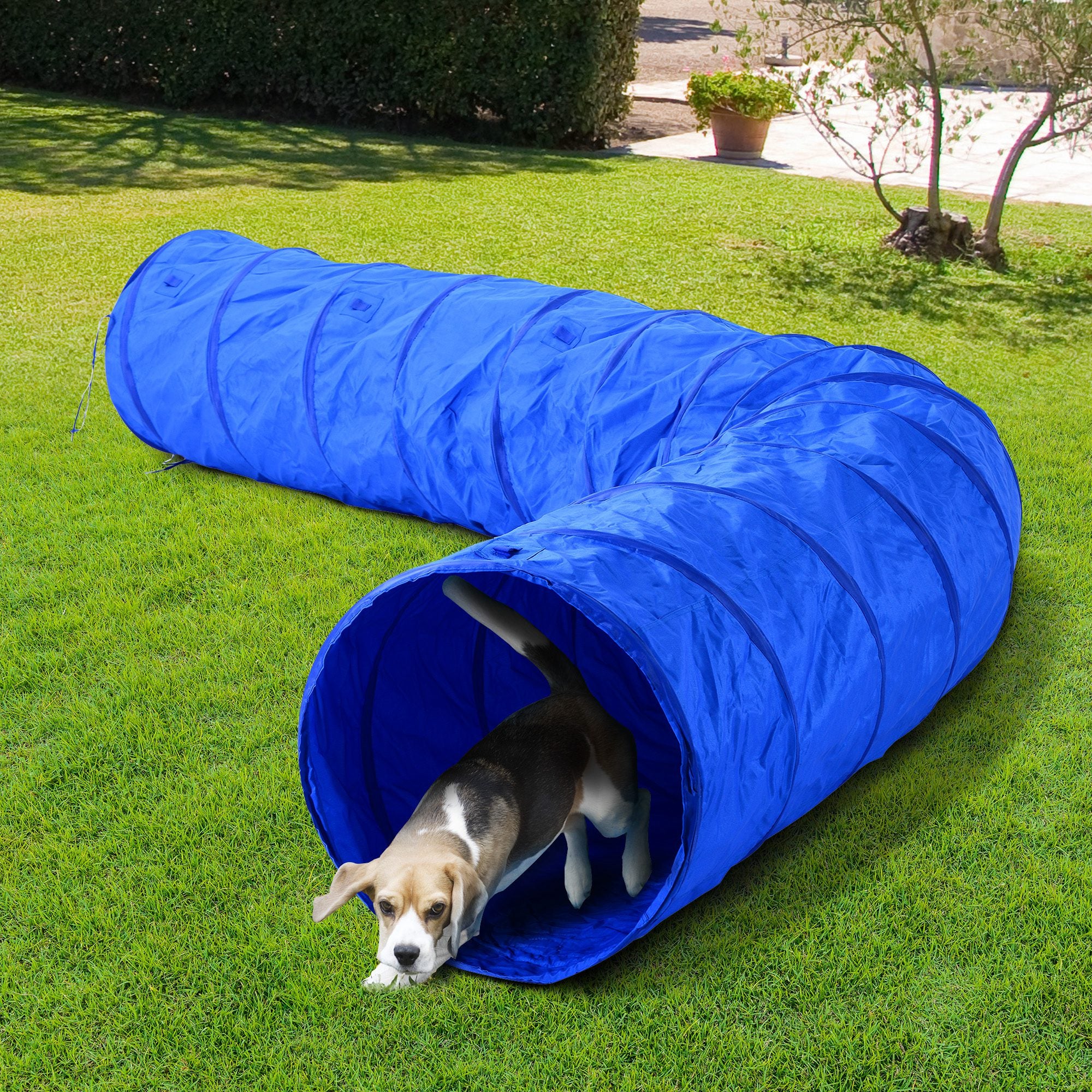 PawHut 5663-0239 16.4' 300D Oxford Portable Puppy Dog Tunnel Pet Agility Exercise Training Soft Crate, Blue