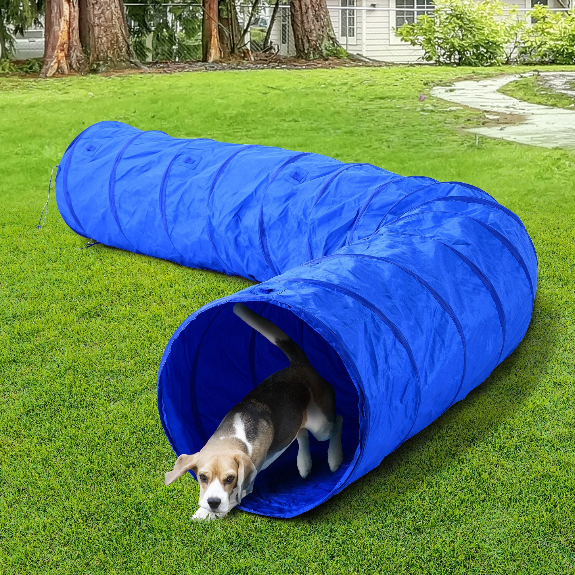 PawHut 5663-0239 16.4' 300D Oxford Portable Puppy Dog Tunnel Pet Agility Exercise Training Soft Crate, Blue