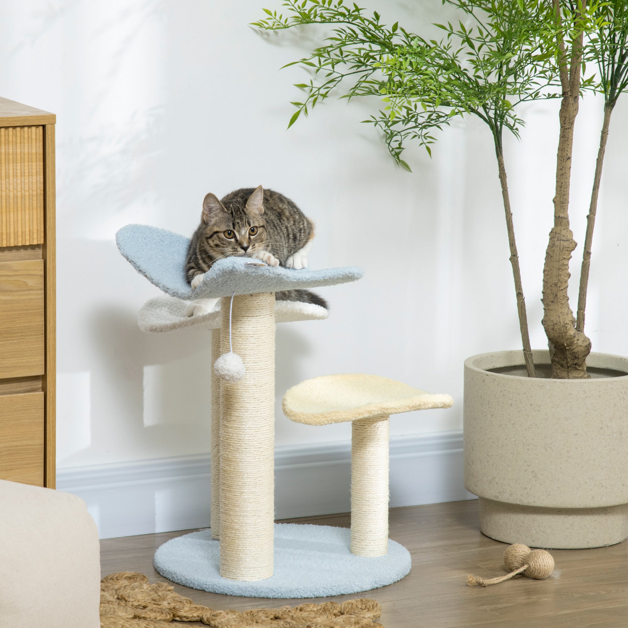 PawHut 54cm Cat Tower for Indoor Cats, Cat Tree Top Butterfly Shape Kitten Play Tower w/ Sisal Scratching Post, Toy Ball, 40 x 40 x 54cm - Blue and Cream