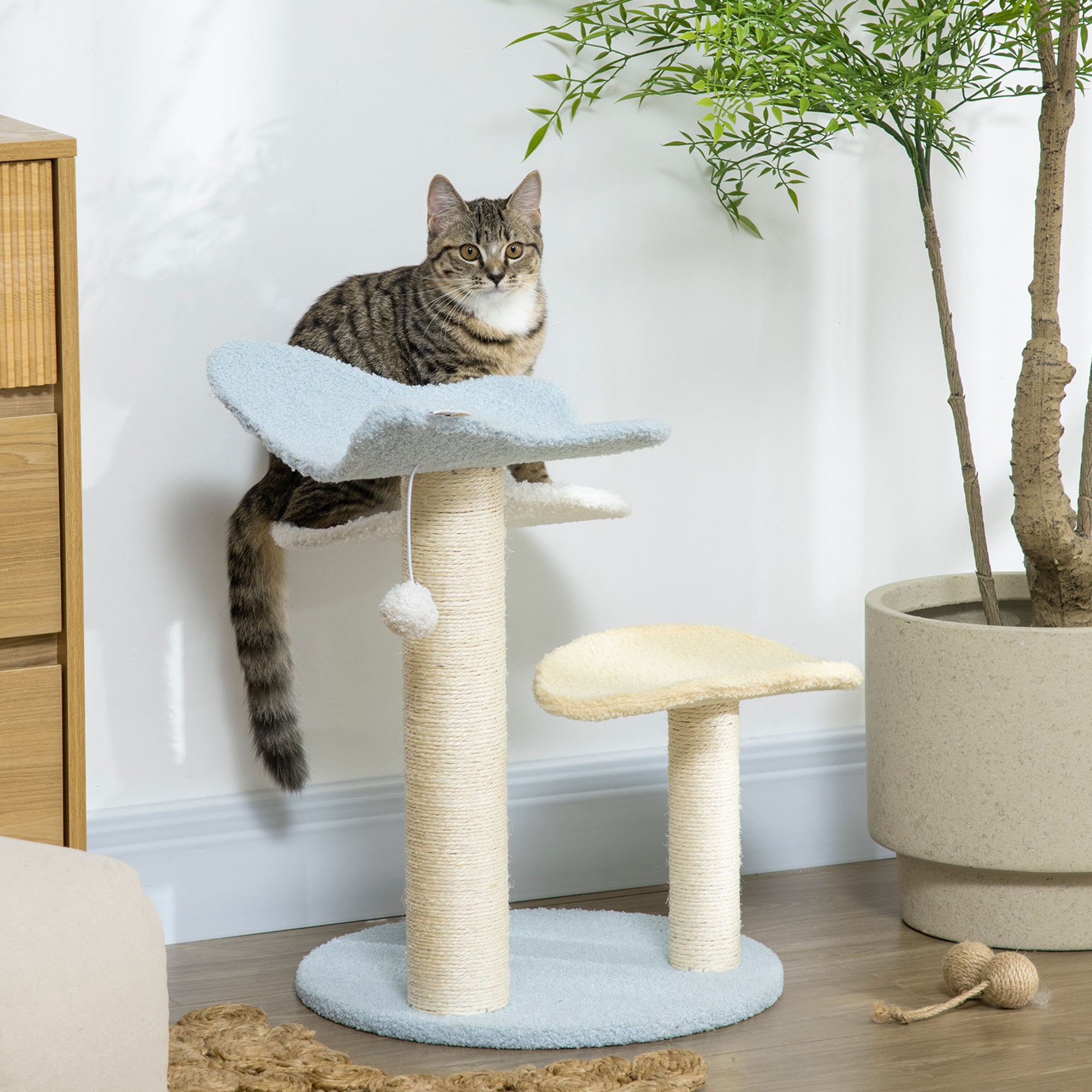 PawHut 54cm Cat Tower for Indoor Cats, Cat Tree Top Butterfly Shape Kitten Play Tower w/ Sisal Scratching Post, Toy Ball, 40 x 40 x 54cm - Blue and Cream