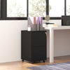 Vinsetto Vertical Steel Filing Cabinet on Wheels, 2-Drawer Lockable File Cabinet with Adjustable Hanging Bar for A4, Legal and Letter Size, Black