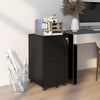 Vinsetto Vertical Steel Filing Cabinet on Wheels, 2-Drawer Lockable File Cabinet with Adjustable Hanging Bar for A4, Legal and Letter Size, Black