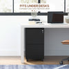 Vinsetto Vertical Steel Filing Cabinet on Wheels, 2-Drawer Lockable File Cabinet with Adjustable Hanging Bar for A4, Legal and Letter Size, Black