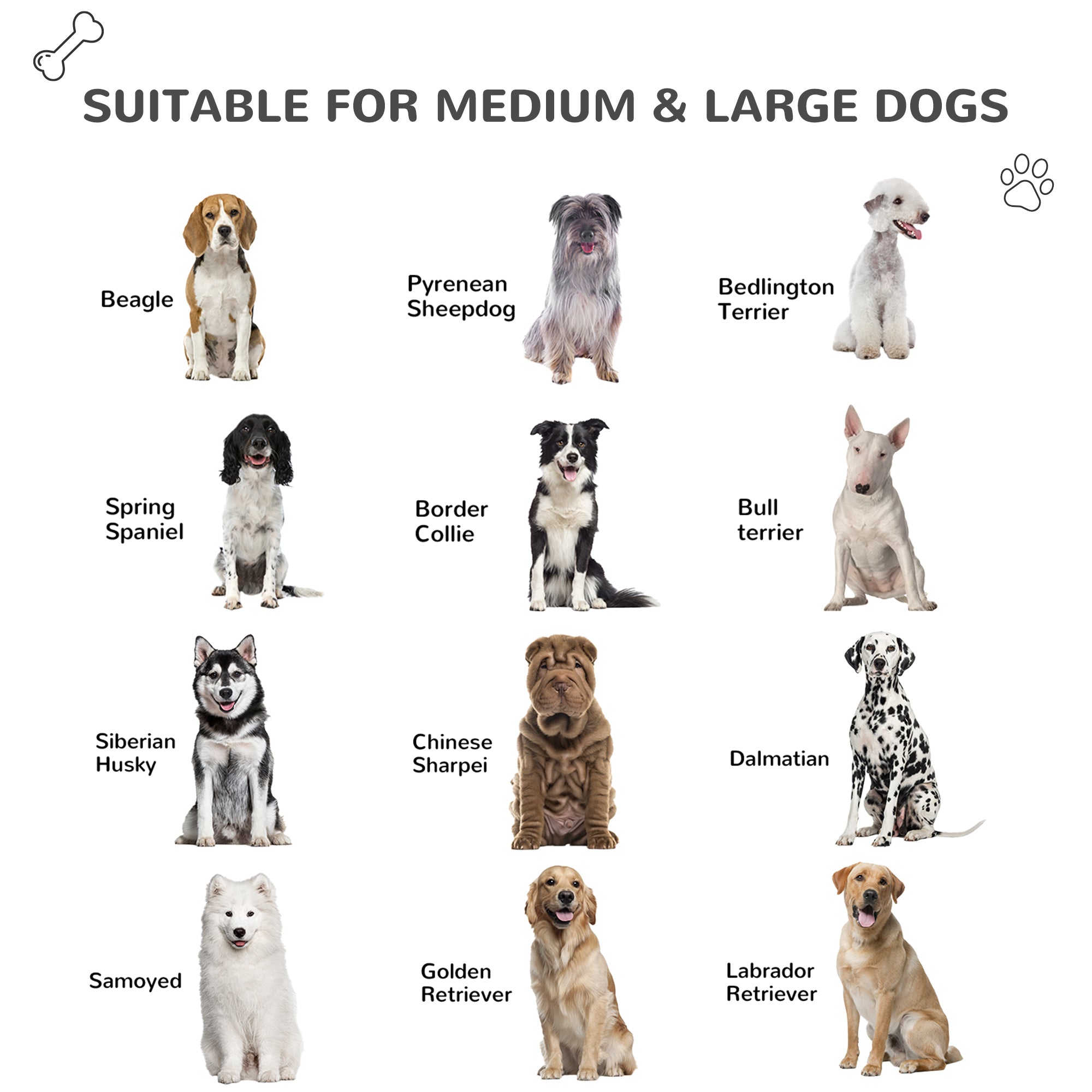 PawHut Plastic Dog House Puppy Kennel Pet Shelter with Raised Base Window Door for Large Medium Dogs Indoor & Outdoor 44"L x 33"W x 31.5"H Grey, White