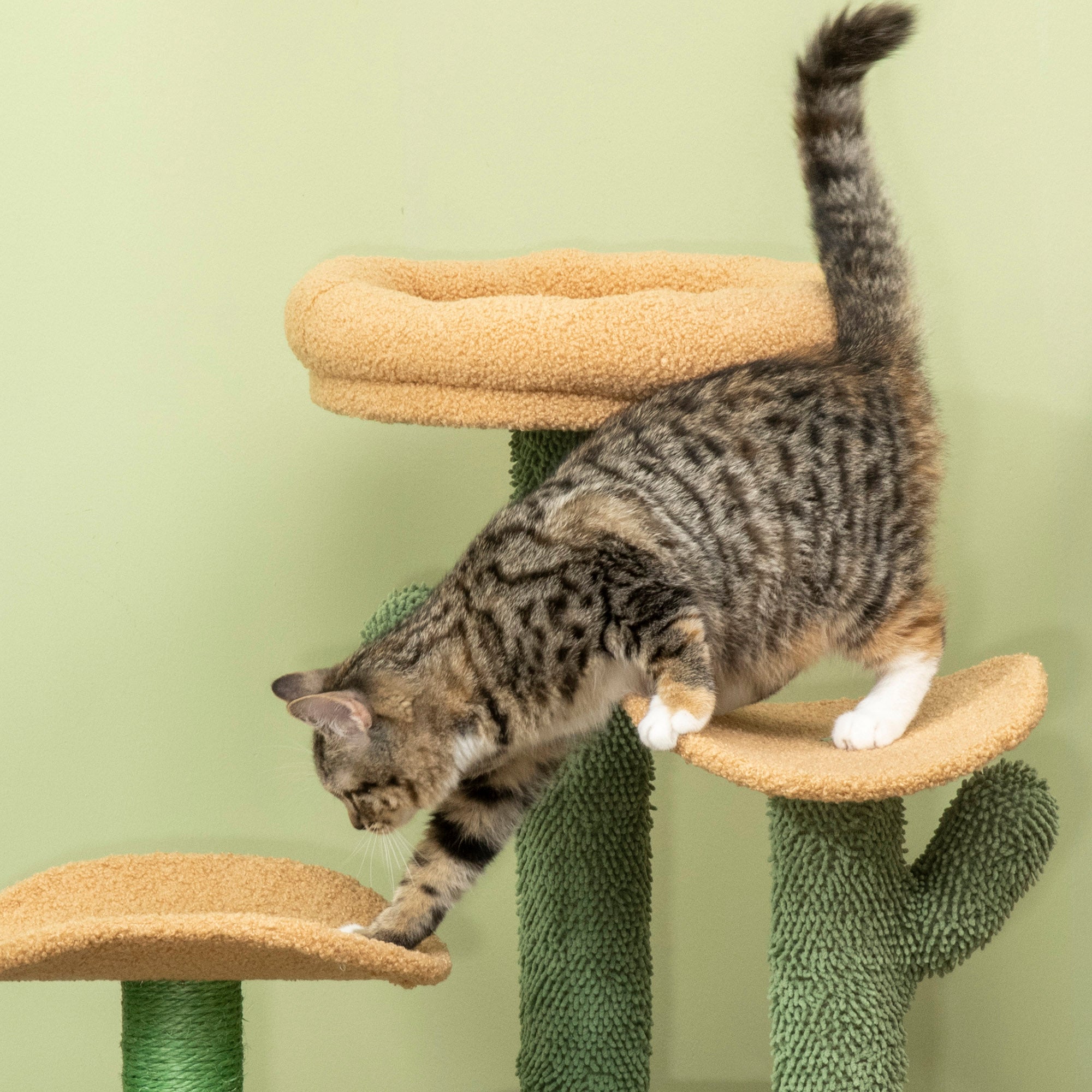 PawHut Cactus Cat Tree 83cm Cat Climbing Tower Kitten Activity Centre w/ Cat House, Bed, Sisal Scratching Post, Hanging Toy Ball - Green