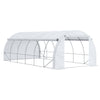 Outsunny Large Walk-in Greenhouse, 20'x10'x6' Tunnel Greenhouse with Zippered Door and 12 Roll-up Windows, Outdoor Green House for Garden Plant, White
