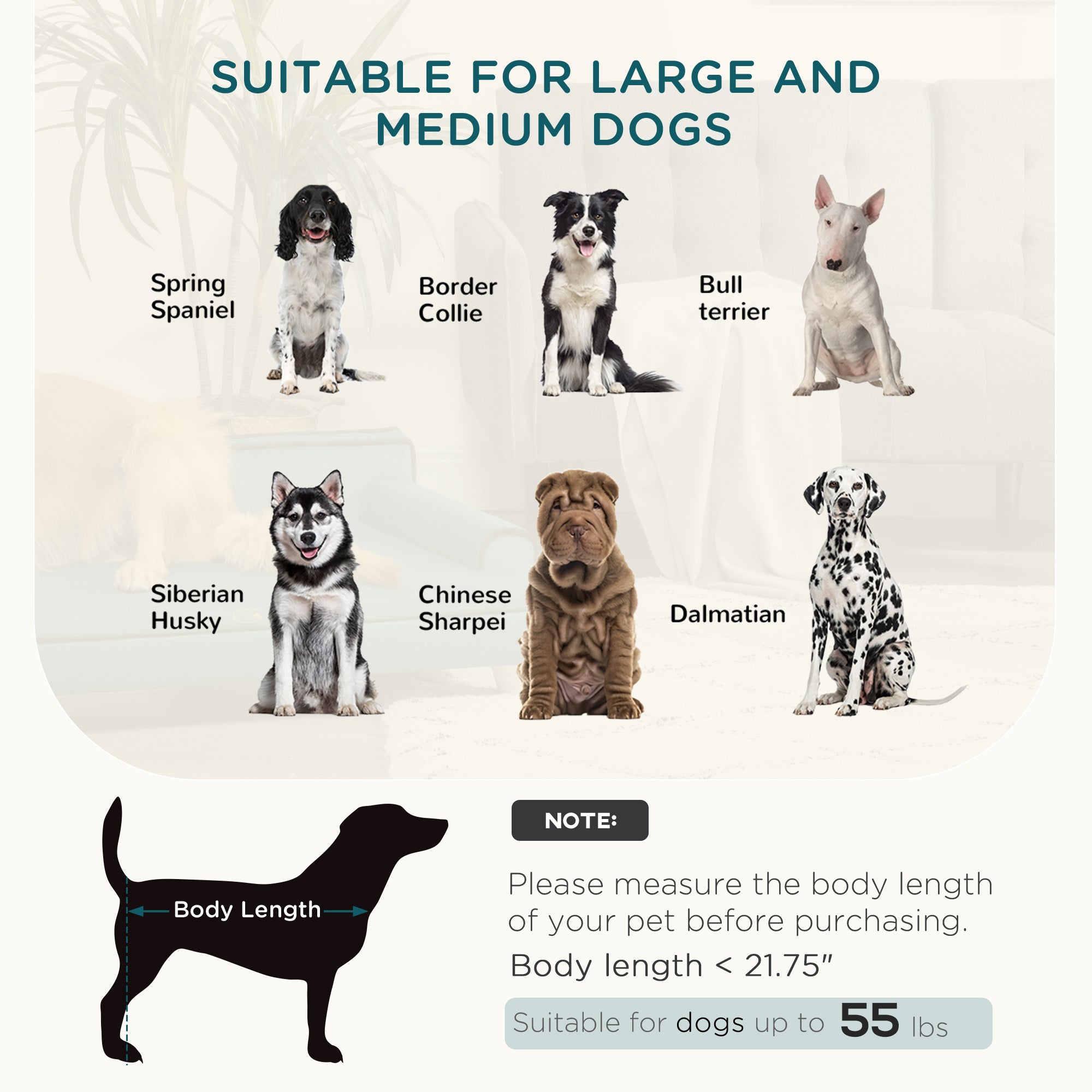 PawHut Dog Sofa, Large Dog Couch with Washable Cover, Wooden Legs, Foam Pet Sofa, Elevated Fancy Dog Bed for Medium & Large Dogs, Teal