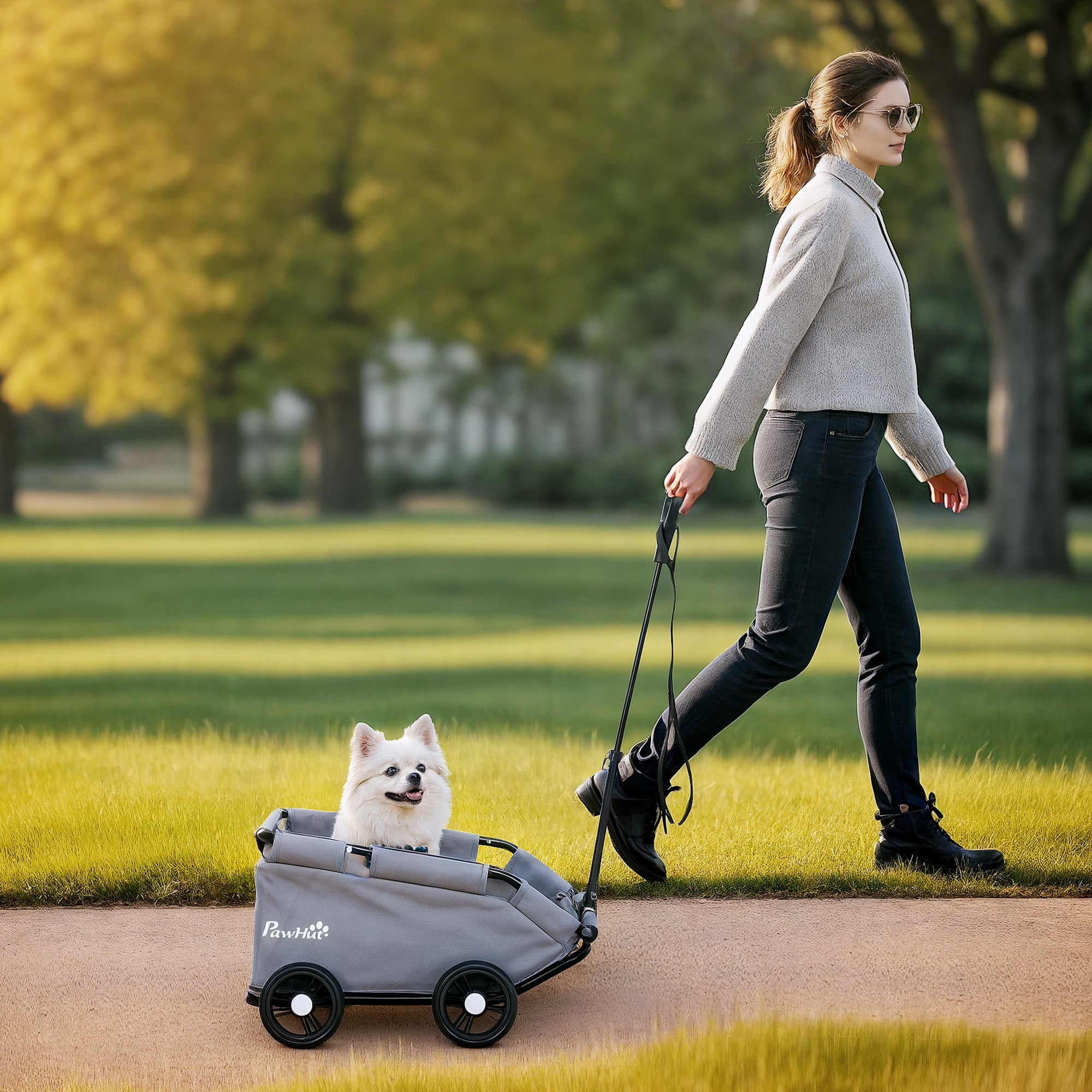 PawHut Dog Stroller, 4 Wheels Folding Lightweight Pet Stroller with Universal Handle Rod, Storage Bag, Washable Cushion, for Miniature Dogs & Cats, Grey