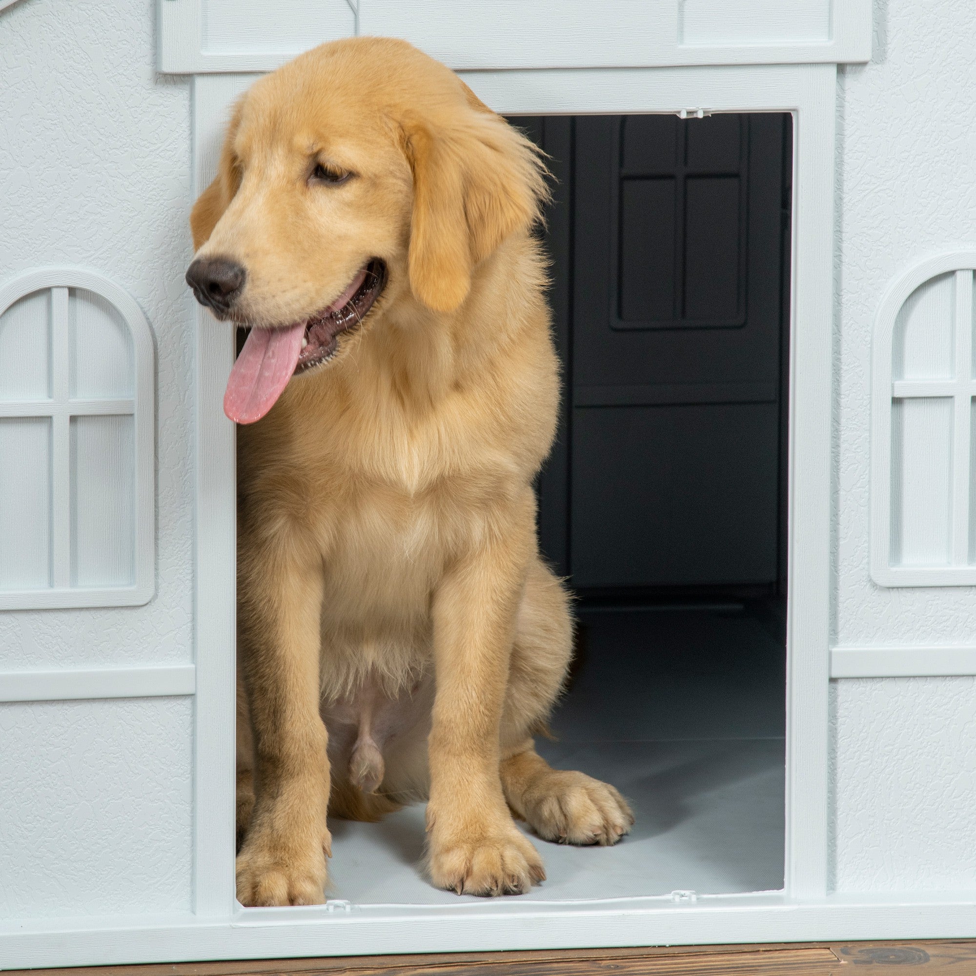PawHut Plastic Dog House, Water Resistant Puppy Shelter Indoor Outdoor with Door, Easy to Assemble, for Large Dogs, Blue