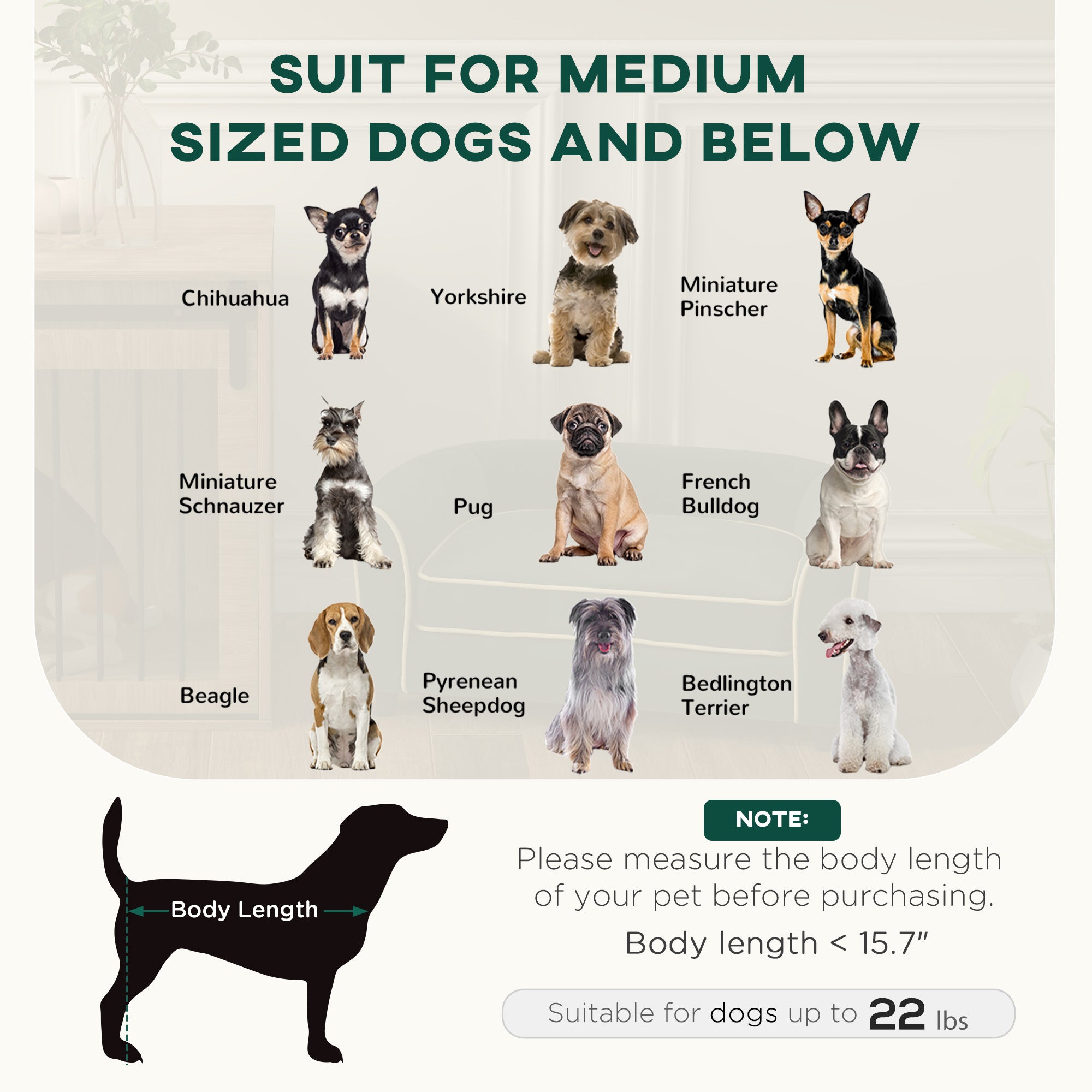 PawHut Dog Couch Fancy Pet Bed Modern Dog Sofa for Small and Medium Dogs Cats, with Soft Cushion, Washable and Removable Cover, Dark Green