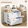 HOMCOM Lateral File Cabinet with 2 Drawer, Lockable Filing Cabinet with Adjustable Hanging Bar for Letter, A4 and Legal Size, White