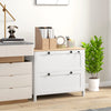 HOMCOM Lateral File Cabinet with 2 Drawer, Lockable Filing Cabinet with Adjustable Hanging Bar for Letter, A4 and Legal Size, White