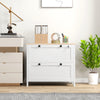 HOMCOM Lateral File Cabinet with 2 Drawer, Lockable Filing Cabinet with Adjustable Hanging Bar for Letter, A4 and Legal Size, White