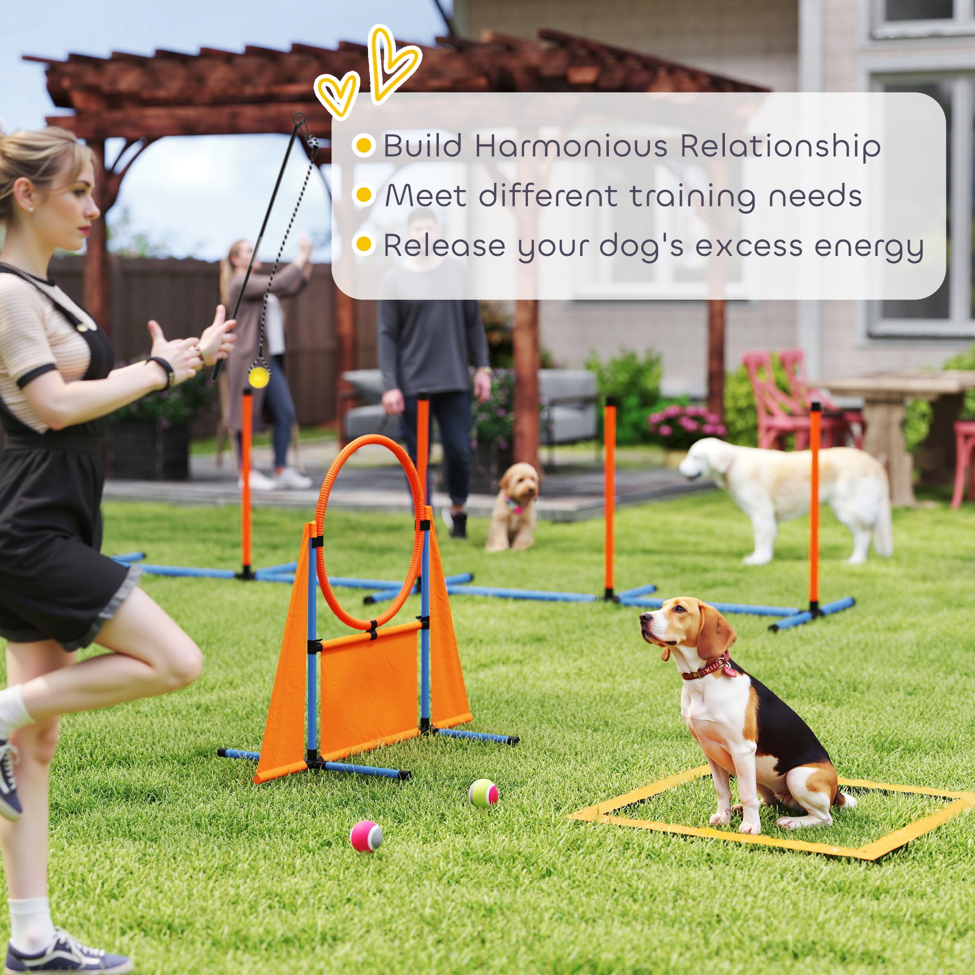 PawHut Dog Agility Equipment, 7-Piece Pet Agility Training Set with Weave Poles, Jump Ring and Hurdle, Pause Box and Carry Bag, Obstacle Training Course Kit, Orange