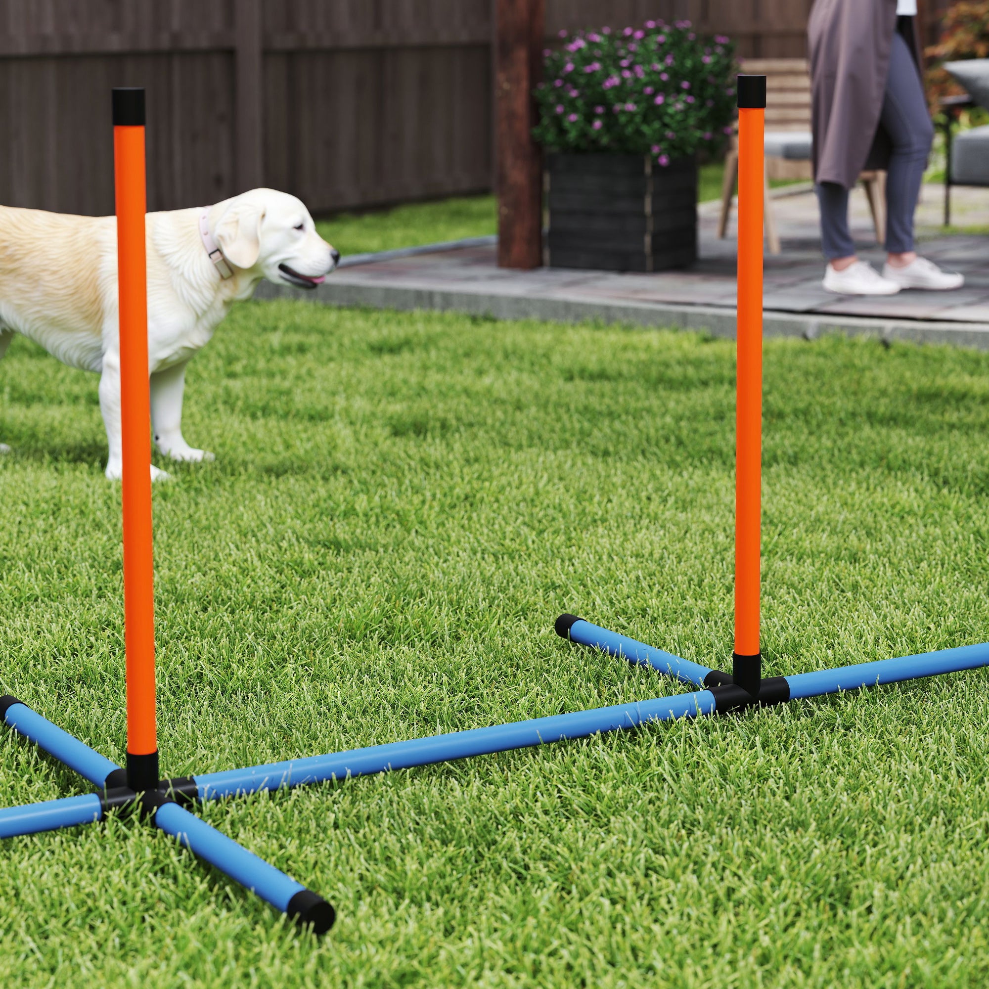 PawHut Dog Agility Equipment, 7-Piece Pet Agility Training Set with Weave Poles, Jump Ring and Hurdle, Pause Box and Carry Bag, Obstacle Training Course Kit, Orange