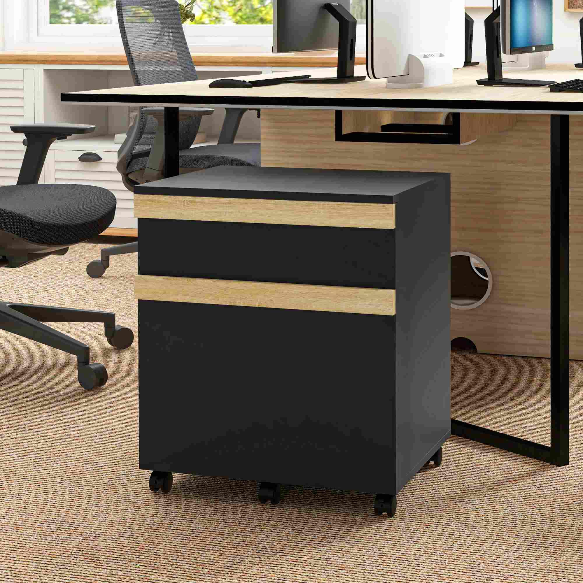 Vinsetto Vertical Filing Cabinet for Home Office, File Cabinet with 5 Wheels, Printer Stand with 2 Drawers for Letter, A4 and Legal Sized Files, Black