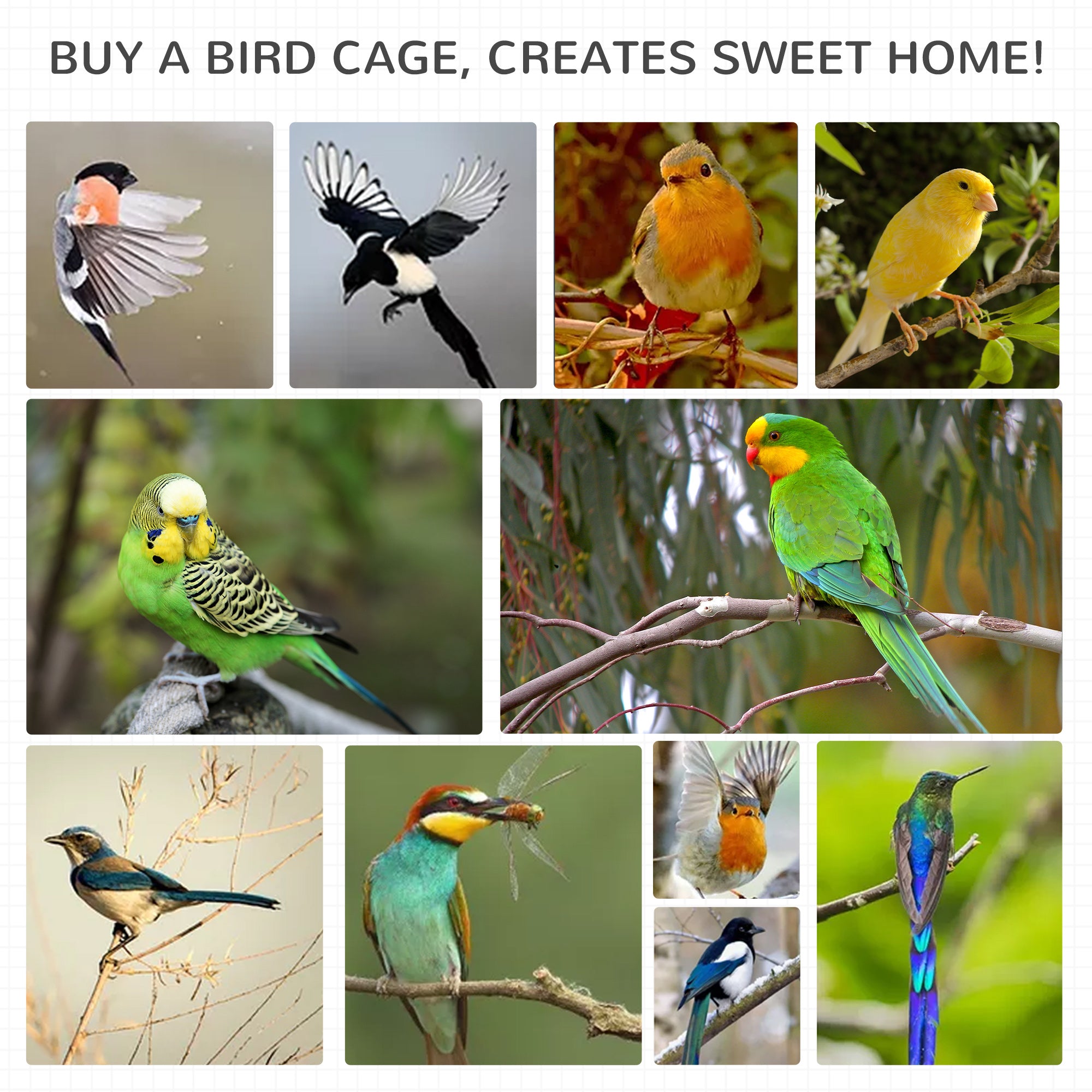 PawHut Wooden Outdoor Aviary Bird Cage w/ Stand for Sun Parakeet, African Gray Parrot, Cockatiels Large Play House Removable Bottom Tray