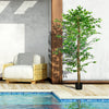 HOMCOM 6ft Set of 2 Artificial Ficus Tree with Pot, Indoor Outdoor Fake Plants for Home Office Living Room Decor