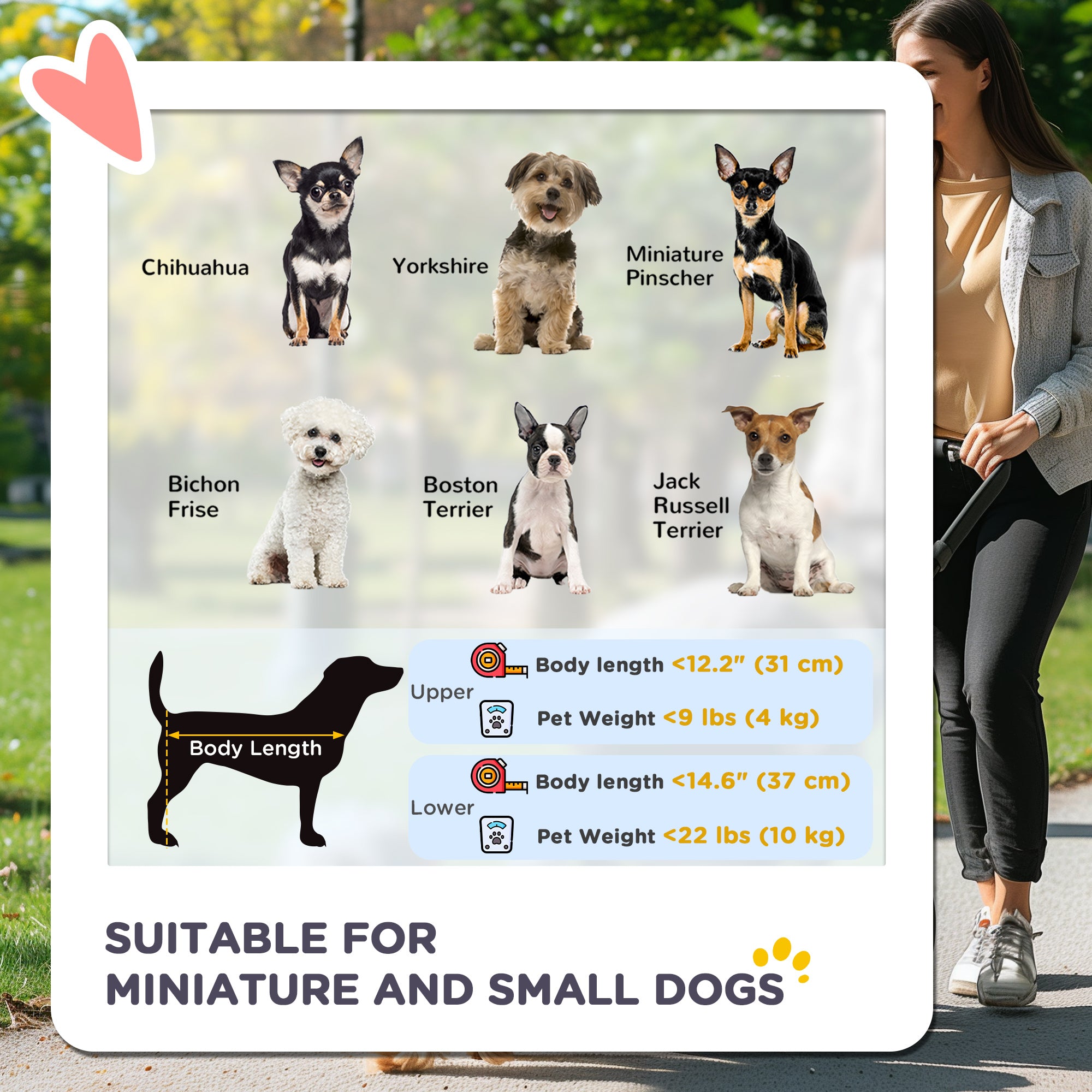 PawHut 3-in-1 Double Pet Stroller for Small Miniature Dogs Cats with Removable Carrier, Foldable Travel Carrier Bag, Car Seat, Blue