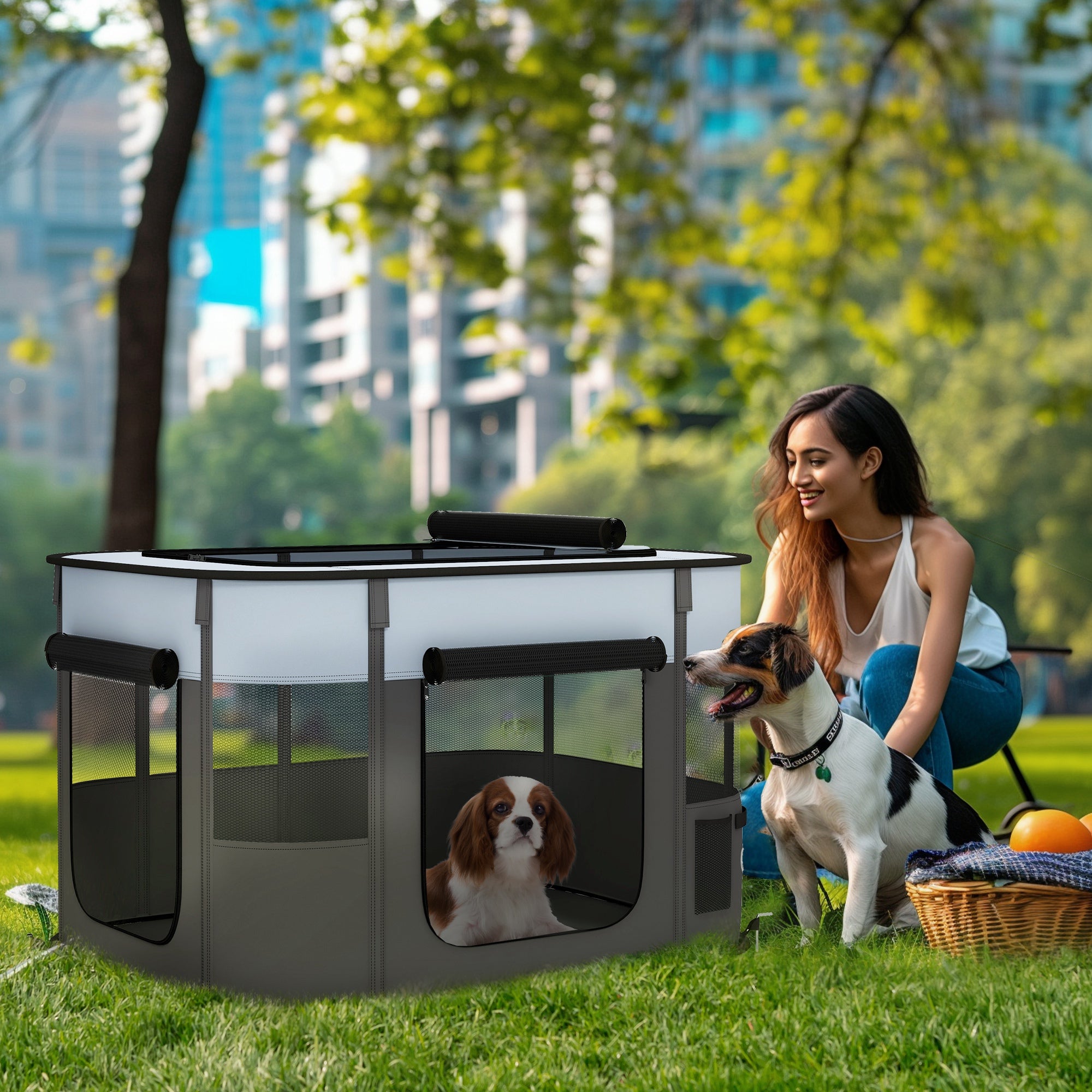 PawHut Dog Pen, Pet Playpen, Portable Foldable Dog Cat Playpen Soft Dog Cage with Storage Bag for Puppies, Rabbits, Kittens, Guinea Pigs, 94 x 74 x 60cm - Grey