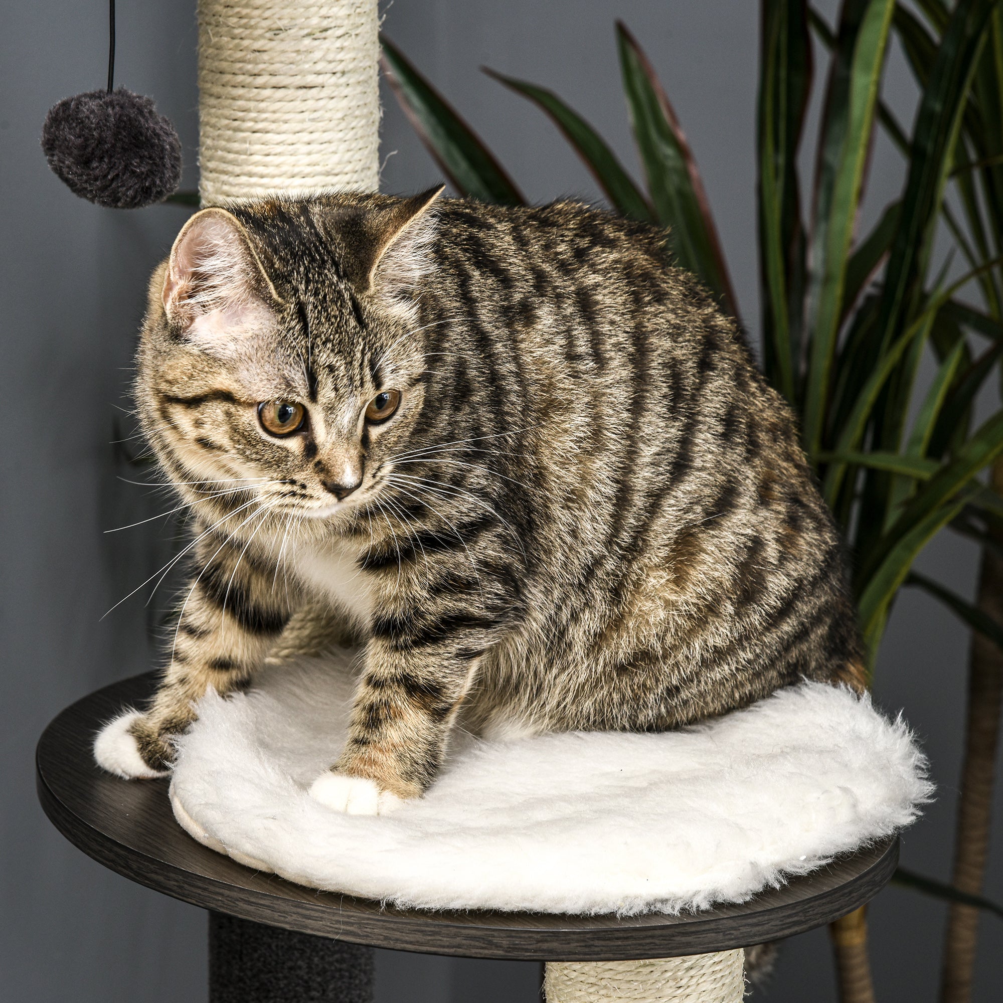 PawHut Cat Tree with Litter Box Enclosure, Kitty Tower with Scratching Posts Cat Bed Perch Ball Toy, for Indoor Cats, Charcoal Grey