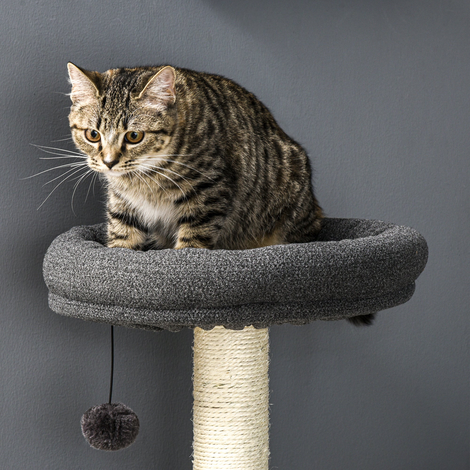 PawHut Cat Tree with Litter Box Enclosure, Kitty Tower with Scratching Posts Cat Bed Perch Ball Toy, for Indoor Cats, Charcoal Grey