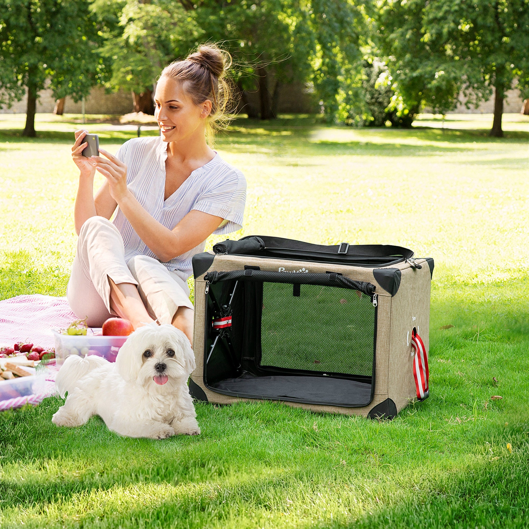PawHut Foldable Pet Carrier for Small and Miniature Dogs, Portable Cat Carrier Soft Side Pet Travel Crate with Removable Mat, Breathable Mesh - 65 x 45 x 45 cm