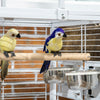 PawHut Bird Travel Carrier Cage for Parrots Conures African Grey Cockatiel Parakeets with Stand Perch, Stainless Steel Bowls, Pull Out Tray, White