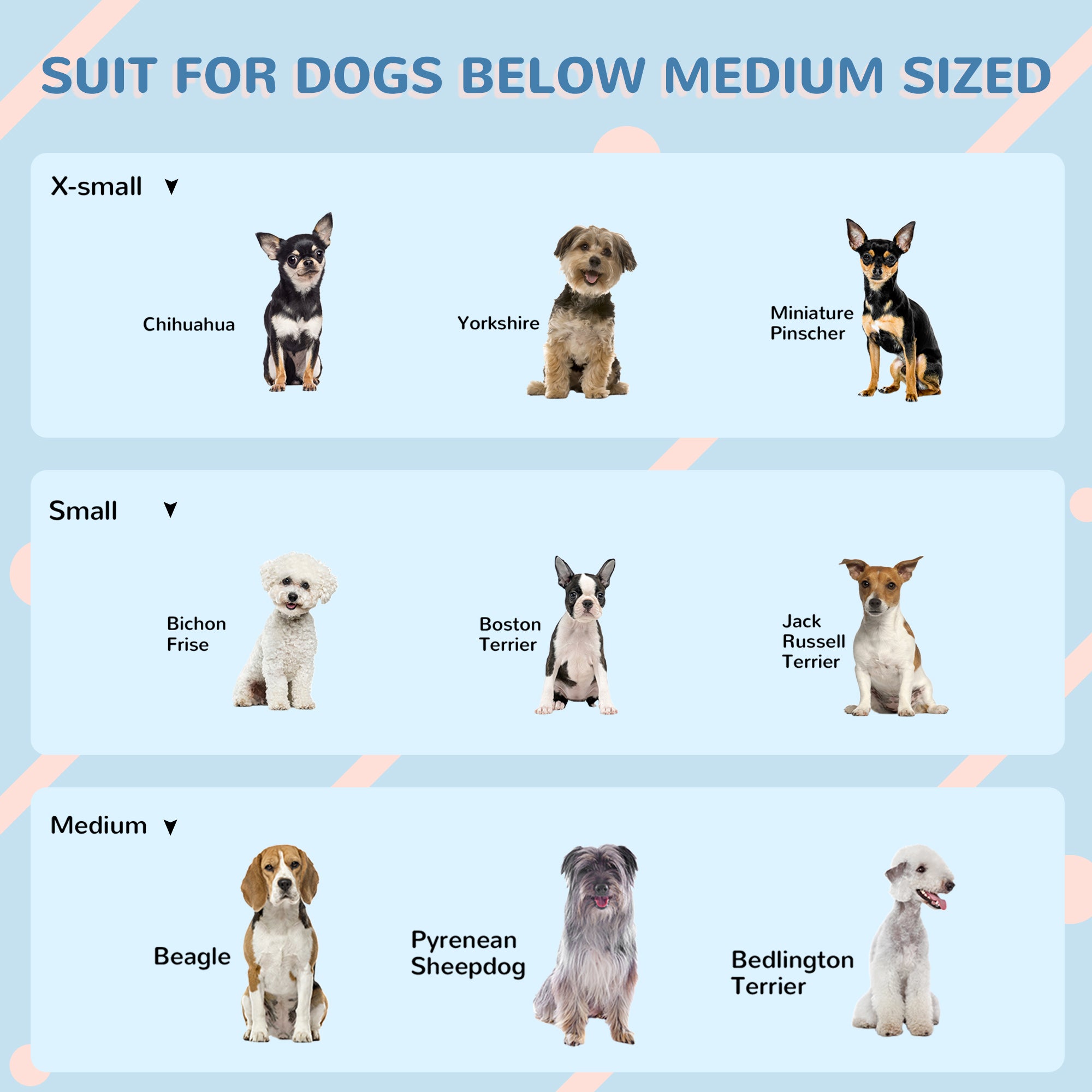 PawHut 26" Plastic Dog House Outdoor, Waterproof Dog Kennel with Air Vents, Pet Shelter for Small Medium Dogs, Blue