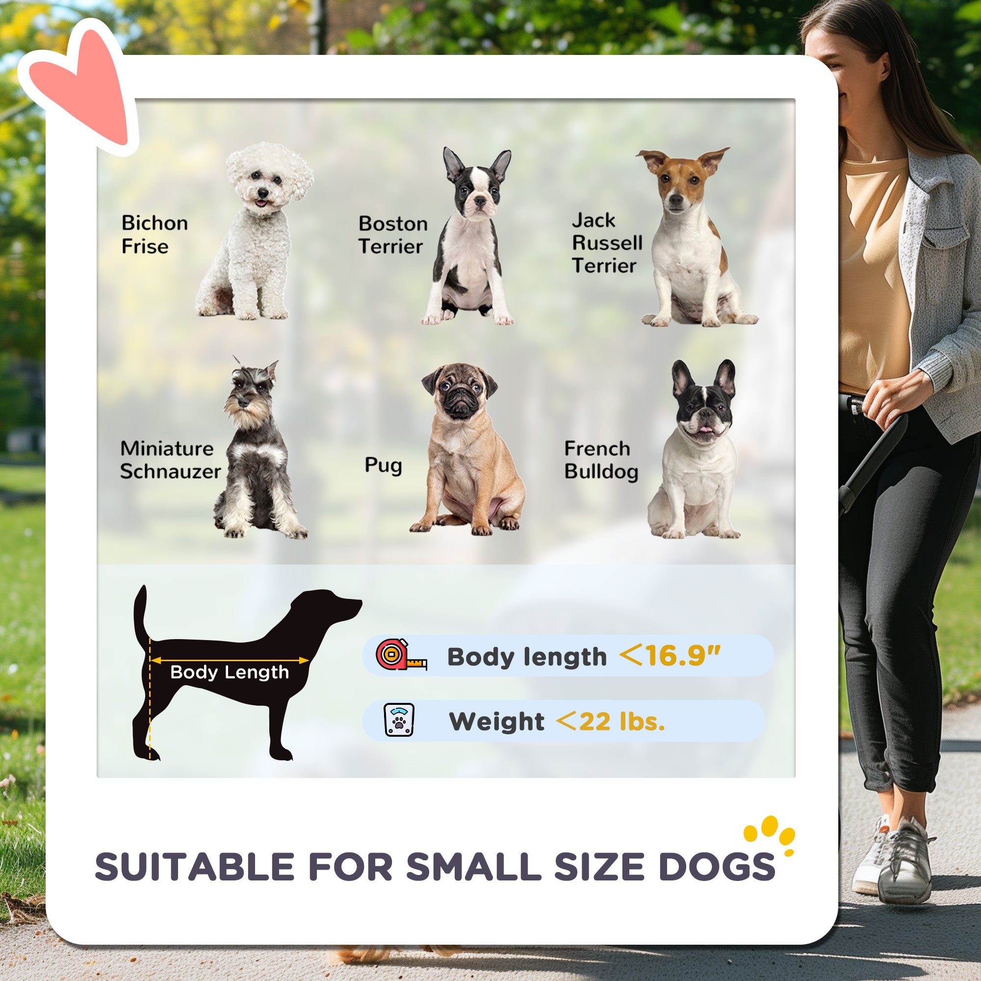 PawHut Pet Stroller for Small Dogs and Cats, 3 in 1 Dog Stroller Jogger with Detachable Carrier, Storage Basket, 3 Big Wheels Foldable Cat Stroller with Adjustable Canopy, Gray