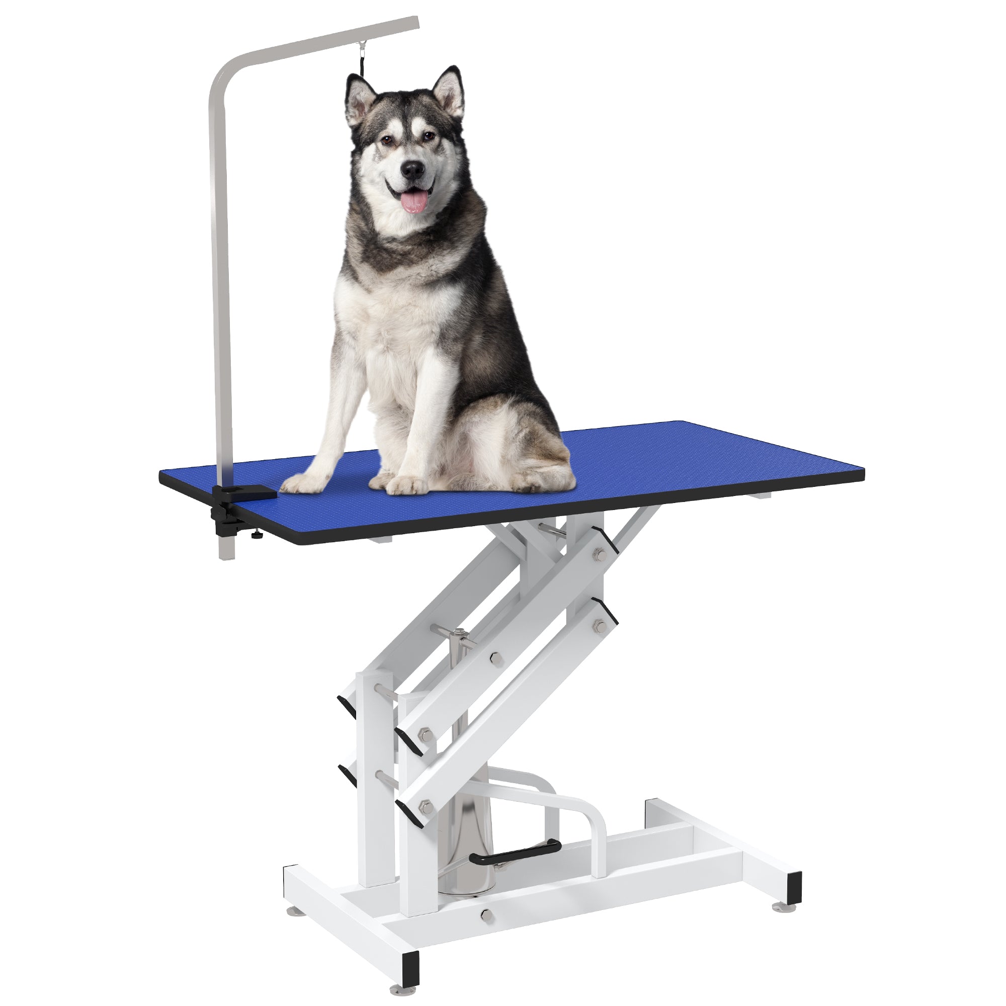 PawHut 43" Hydraulic Dog Grooming Table, Deluxe Professional Pet Grooming Table for Larger Dogs, Z-Lift Design with Arm Noose - Blue