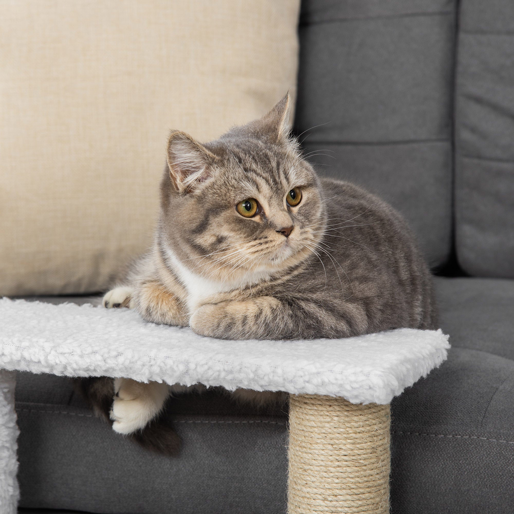 PawHut Pet Stair, Cat Tree with 3-step Climb Ladder, Scratching Posts, Platforms, Toy Ball, for Indoor Elderly Cats Kittens, White