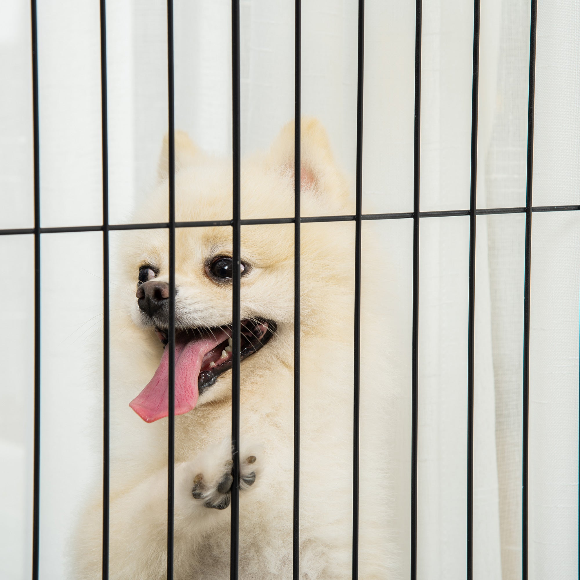 PawHut Wooden Dog Gate Foldable Pet Fence for Small & Medium Dogs 4 Panel with Support Feet Freestanding Safety Barrier for House Doorway Stairs White