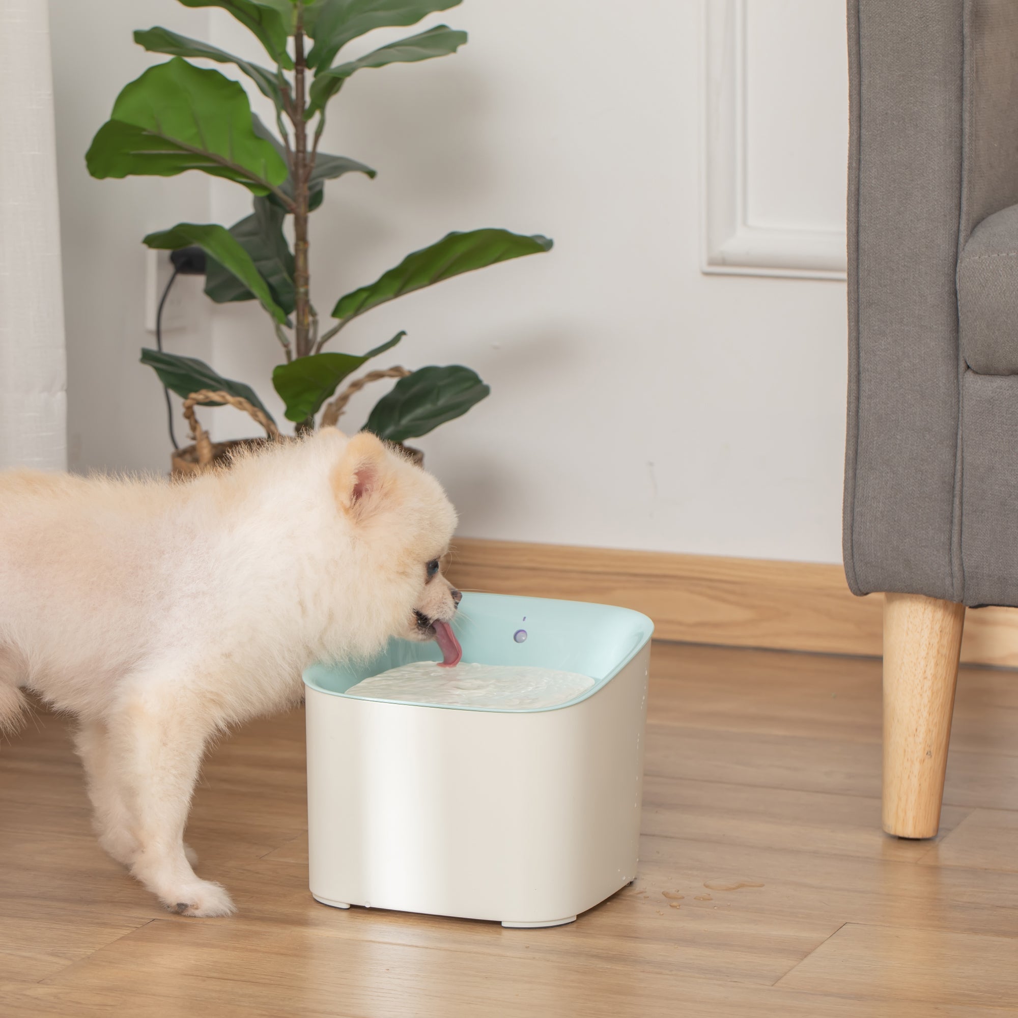 PawHut Cat Water Fountain 3L Automatic Pet Water Dispenser with Filter Three Modes and LED Indicator for Dogs and Cats - Blue