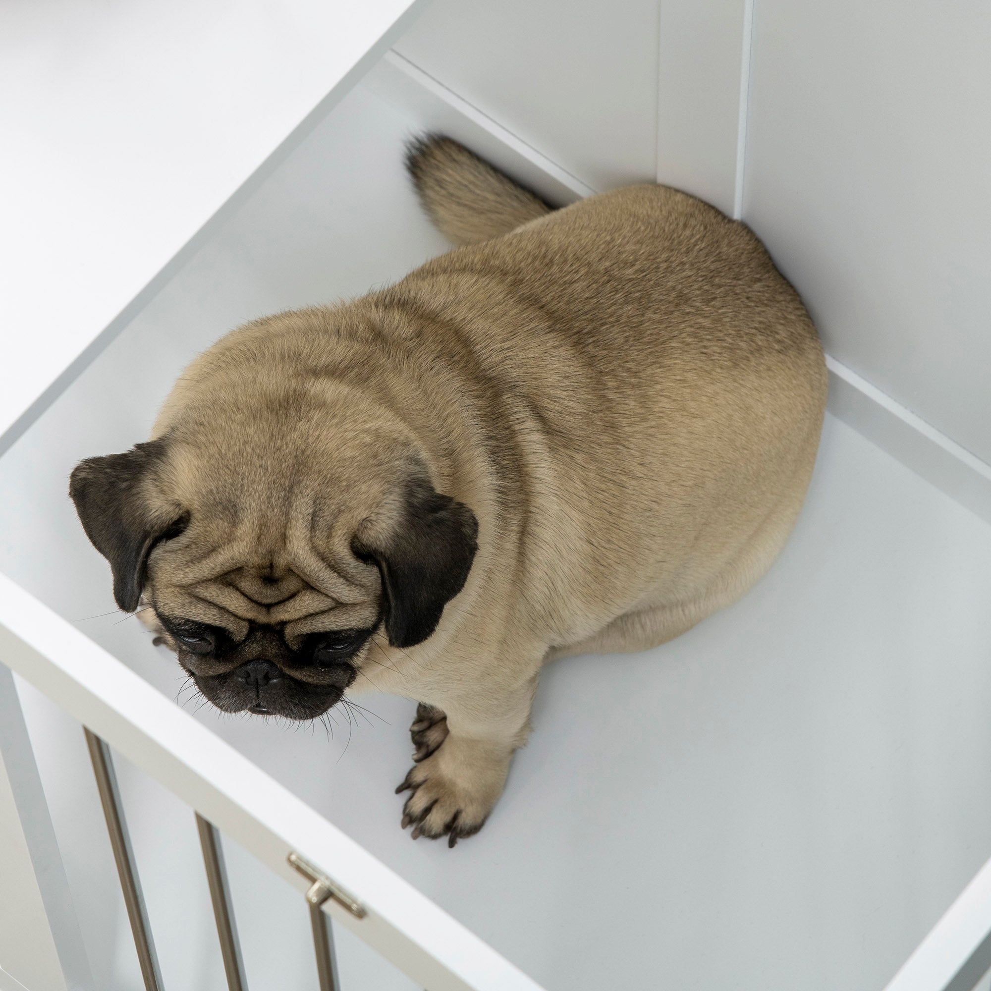PawHut Dog Crate Furniture, 31.5