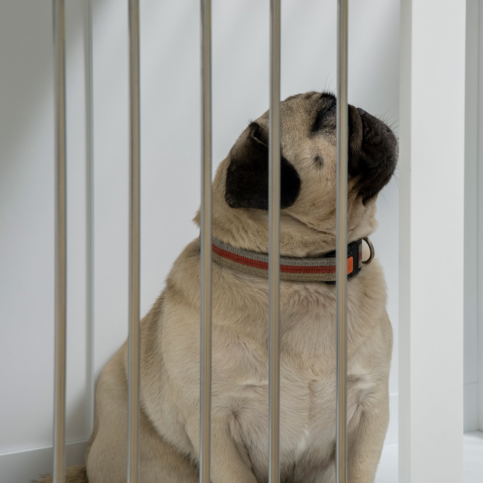 PawHut Dog Crate Furniture, 31.5" Dog Kennel Furniture Side End Table with Double Doors, for Medium Dogs, White