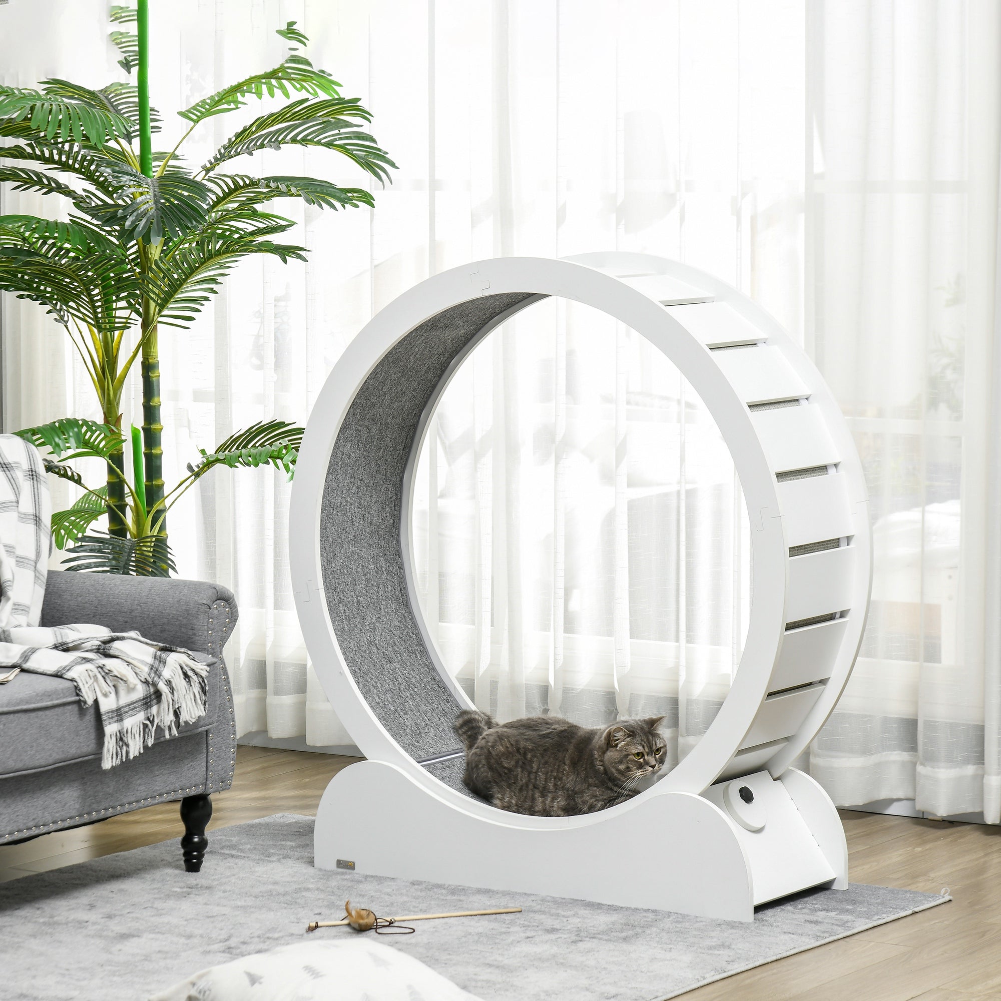 PawHut Cat Treadmill, Cat Exercise Wheel, 39.4 inch Cat Running Wheel with Brake, Carpeted Runway, for Exercise - White
