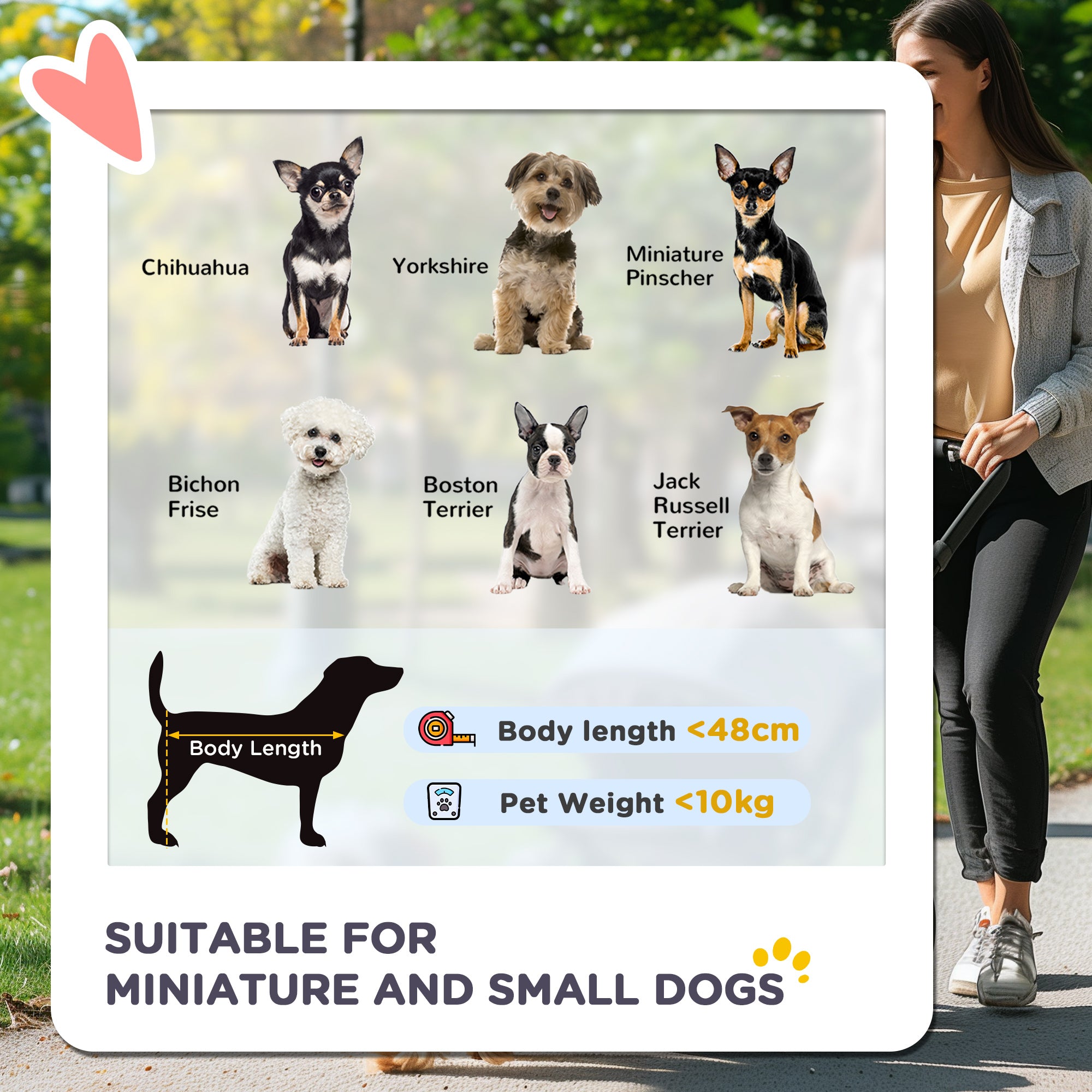 PawHut 2 in 1 Foldable Dog Stroller with Suspension, Detachable Carriage, Adjustable Canopy, Safety Leashes and Storage Basket, Grey